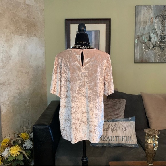 LUCKY BRAND NWT Champagne Crushed Velvet Flutter Sleeve Top 2X - Picture 8 of 8